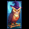 witch heart megaways slot owl symbol