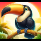 4 fantastic fish amazon adventure slot toucan symbol