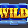 Whats In The Vault slot wild symbol