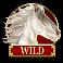 divine fortune black slot wild symbol
