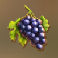 dolce far niente grapes symbol