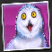 dumb and dumber route to riches snowy owl symbol