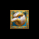 elysian gold slot bird head symbol