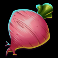 farmtastic slot beetroot symbol