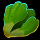 farmtastic slot lettuce symbol