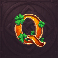lucky lady leprechaun letter q symbol