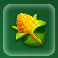 milk the cow corn symbol