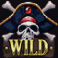 rogues riches cashlink slot wild symbol