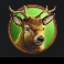 wolf strike hold n win extra deer symbol