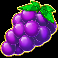 cash goddess slot grapes symbol