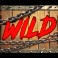 cash truck begins slot wild symbol