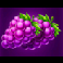 fruit coins hold and win grapes symbol