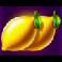 fruit coins hold and win lemons symbol