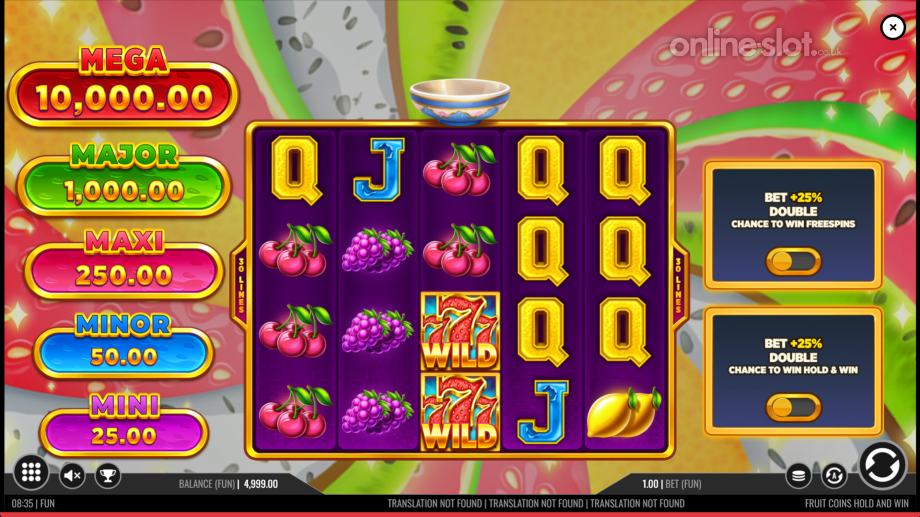 fruit coins hold and win slot base game