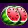 fruit coins hold and win watermelons symbol