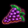 hot slot 777 cash out grand platinum edition slot grapes symbol