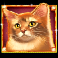 kitty glitter grand slot orange cat symbol