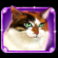 kitty glitter grand slot purple cat symbol