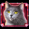 kitty glitter grand slot red cat symbol