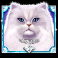 kitty glitter grand slot white cat symbol