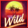 miami rise slot wild symbol
