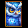 temple guardians owl symbol