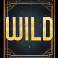 frequent flyer slot wild symbol