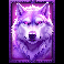 4 wolves of fortune purple wolf symbol