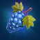age of the gods gold trio slot grapes symbol