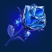 age of the gods gold trio slot rose symbol