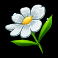 bee keeper slot flower symbol