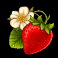 bee keeper slot strawberry symbol
