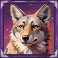 big bucks canyon 10k ways slot wolf symbol