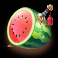 bill and coin 2 mummy mischief slot watermelon symbol