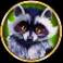 bison moon power combo slot raccoon symbol