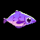 fish and bird purple fish symbol