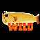 fish and bird wild symbol