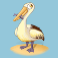 fishin' frenzy the big catch 3 slot seagull symbol