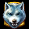 ice wolf slot ice wolf symbol