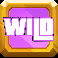 miami mayhem wild symbol