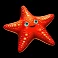 puff puff puffer slot starfish symbol