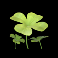 rainbow magic slot clovers symbol