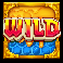 wild swarm triple hive wild symbol