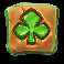 10 cash bisons club symbol