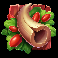 10 cash bisons horn with berries symbol