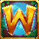 10 cash bisons wild symbol