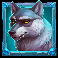 10 cash bisons wolf symbol