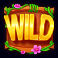 3 cheeky chimps slot wild symbol