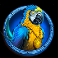 adventures of doubloon island slot parrot symbol
