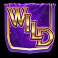 age of conquest slot wild symbol